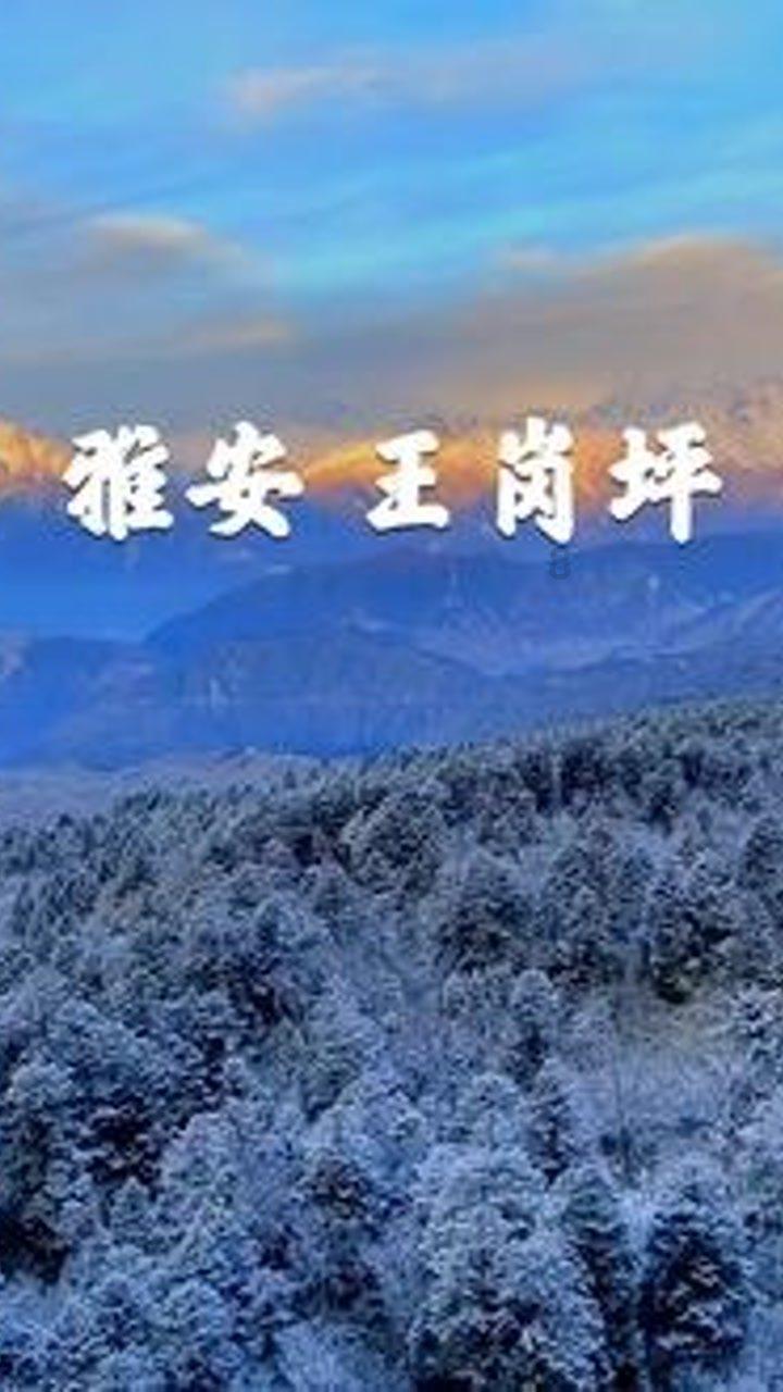 救援医学院学生