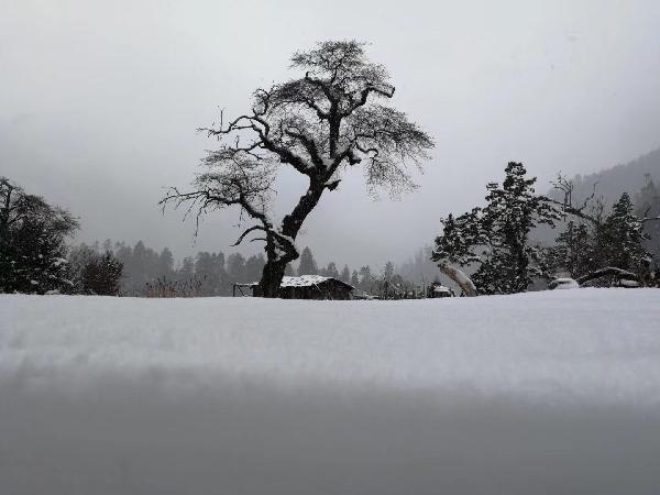俗语：家开青龙门，赛过祖宗坟，啥是“青龙门”，有何深意？