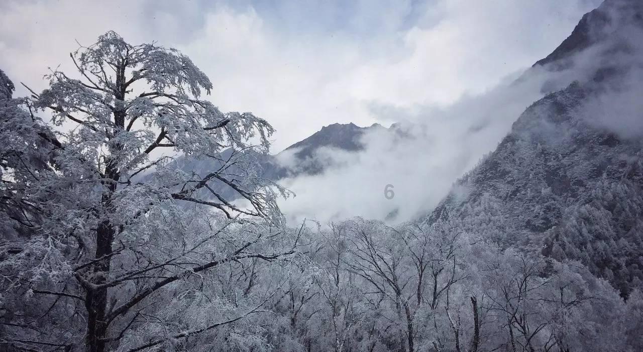 晋宁区精细化管理让城市更有温度